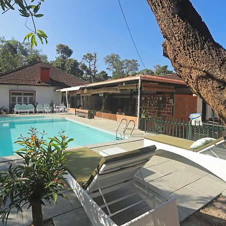 Devi Villa - Plantation Retreat And Forest Getaway Kutta Экстерьер фото