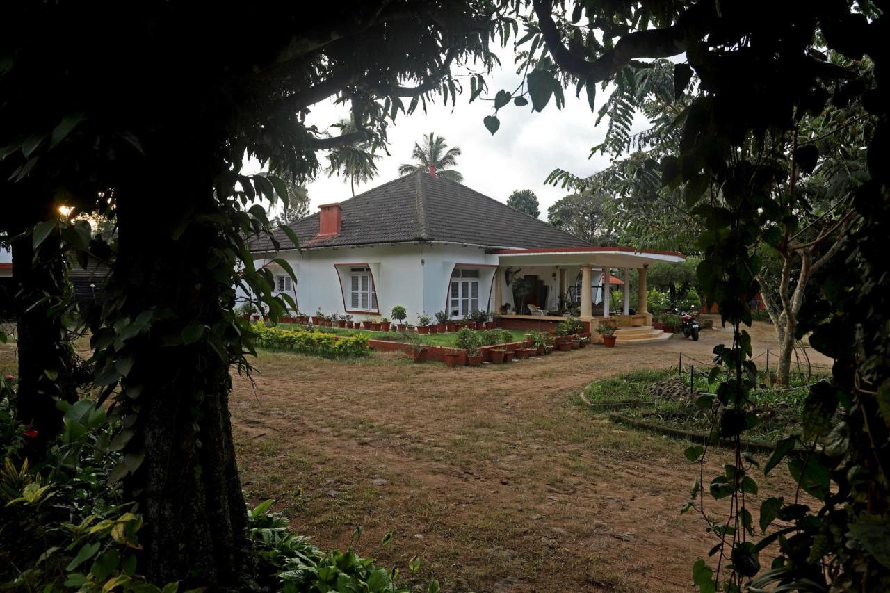 Devi Villa - Plantation Retreat And Forest Getaway Kutta Экстерьер фото